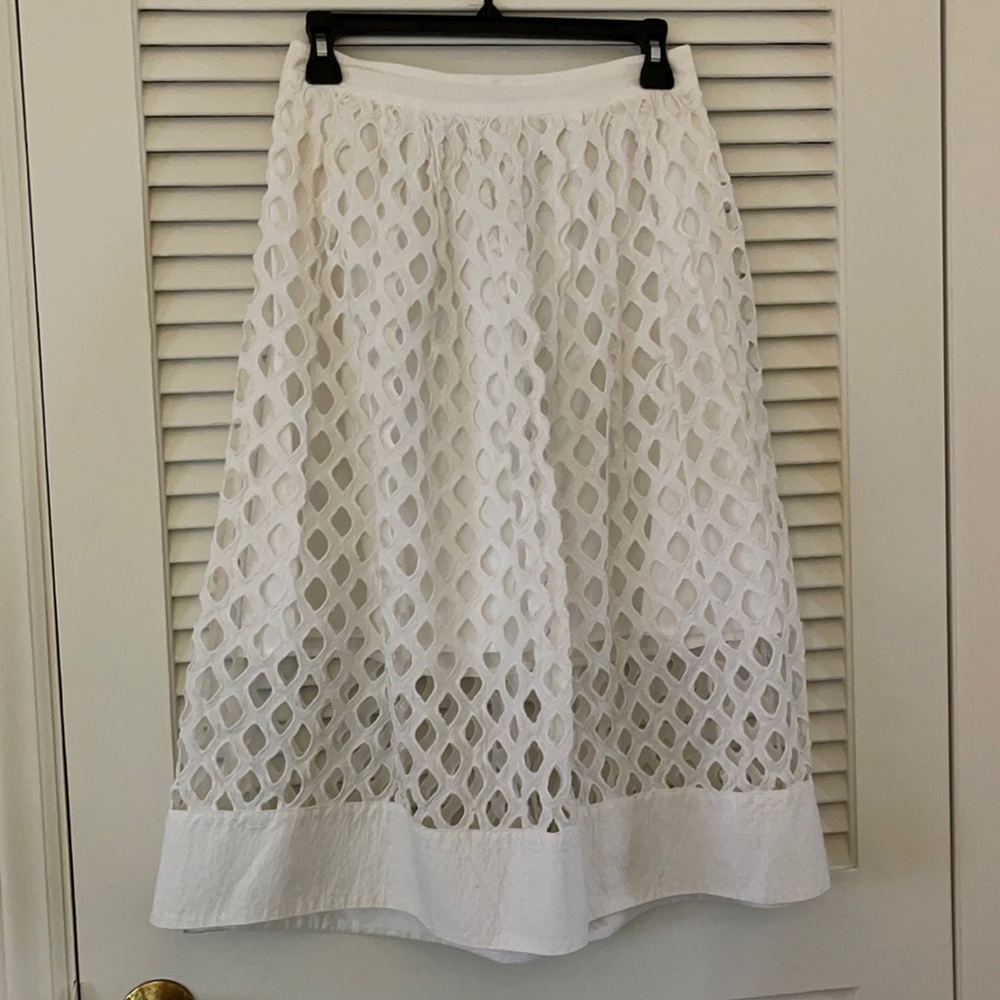 Anthropologie Skirt